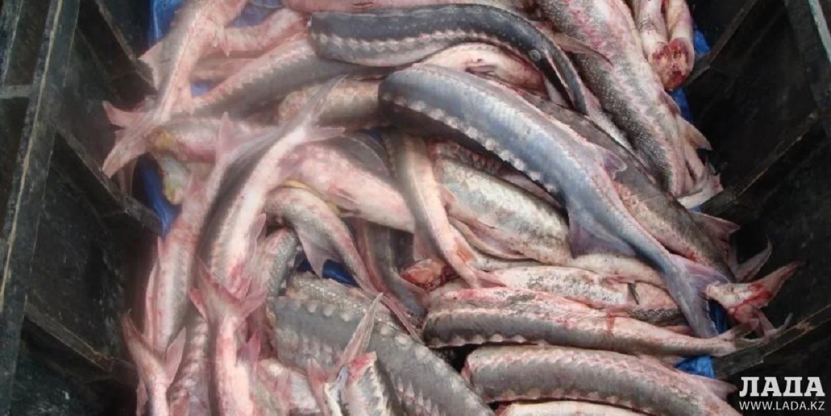 Фото из архива