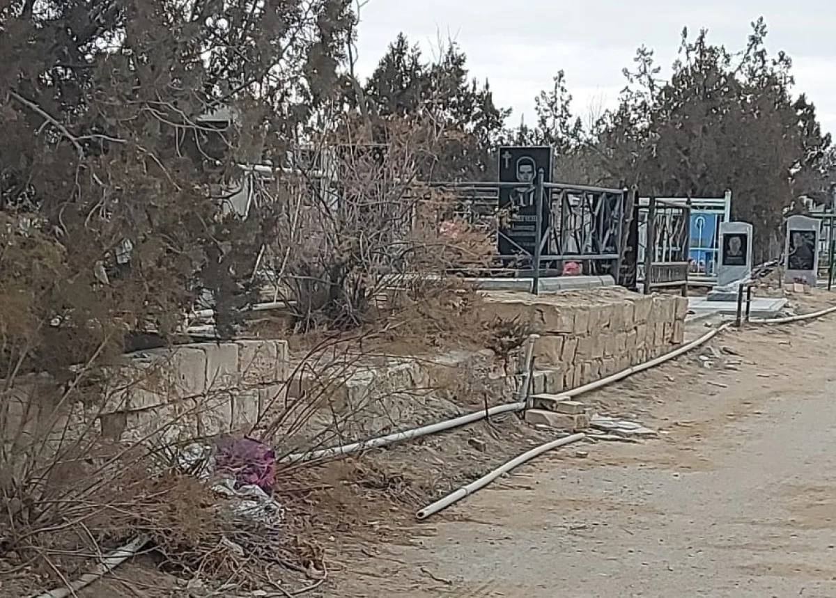 Мусор вывезен. Фото пресс-службы ведомства