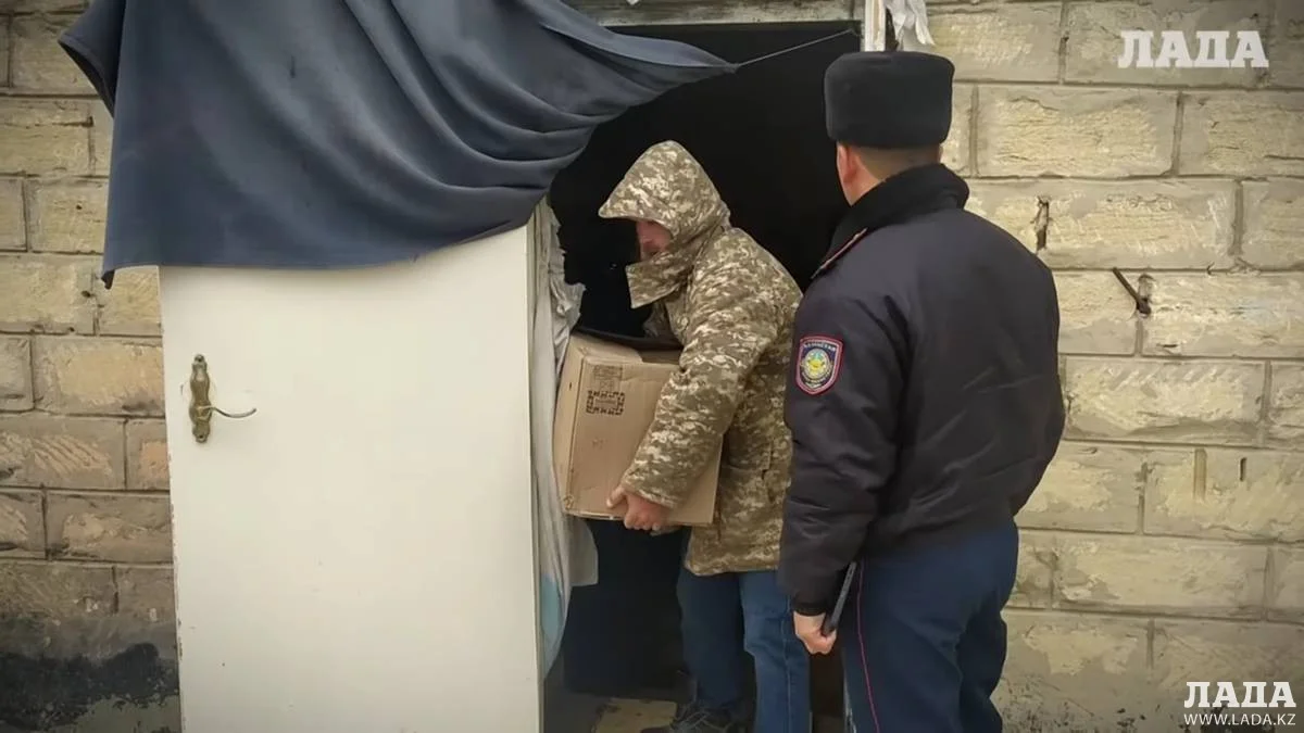 Фото из доступных источников