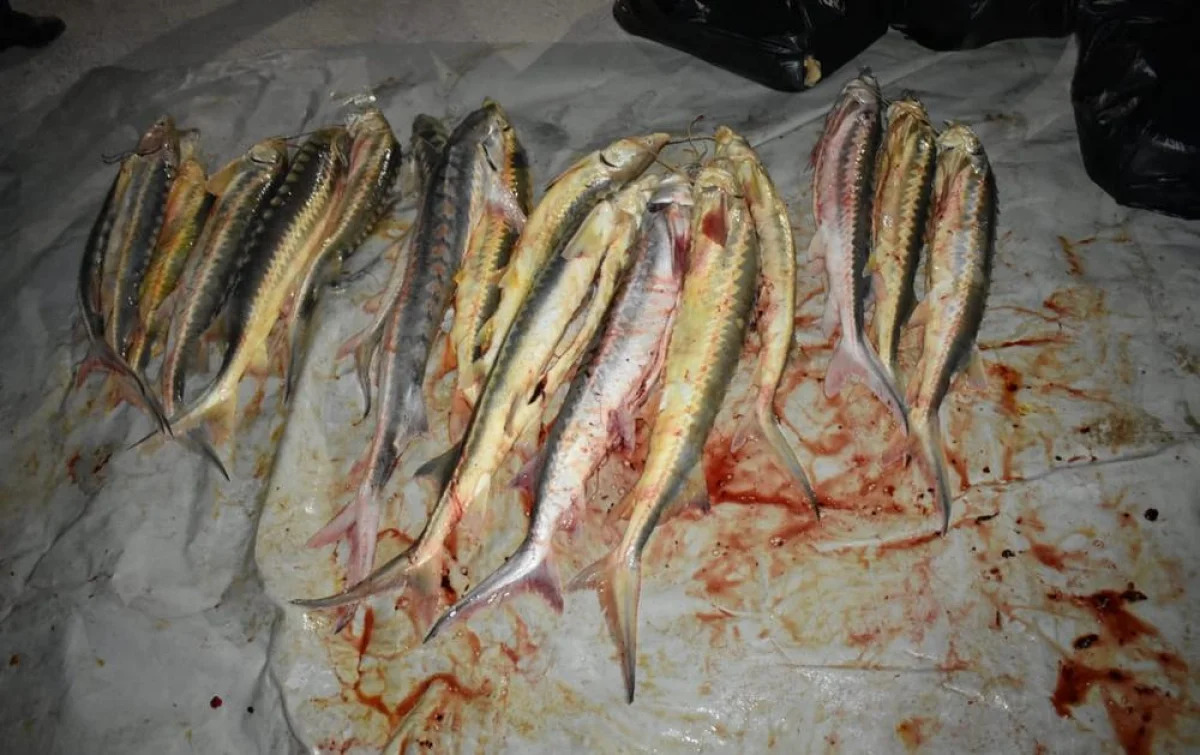 Фото предоставил пресс-секретарь КНБ по Мангистауской области, майор Ерсин Кайбуллин