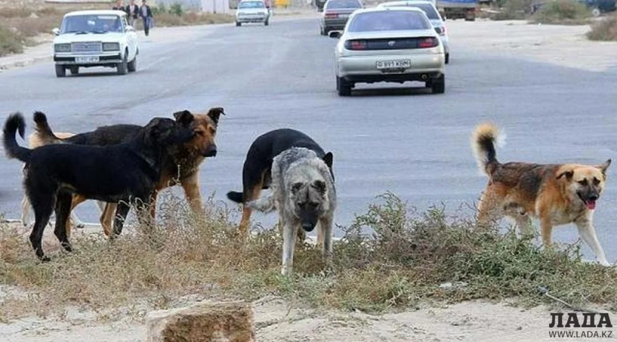 Фото из архива Lada.kz