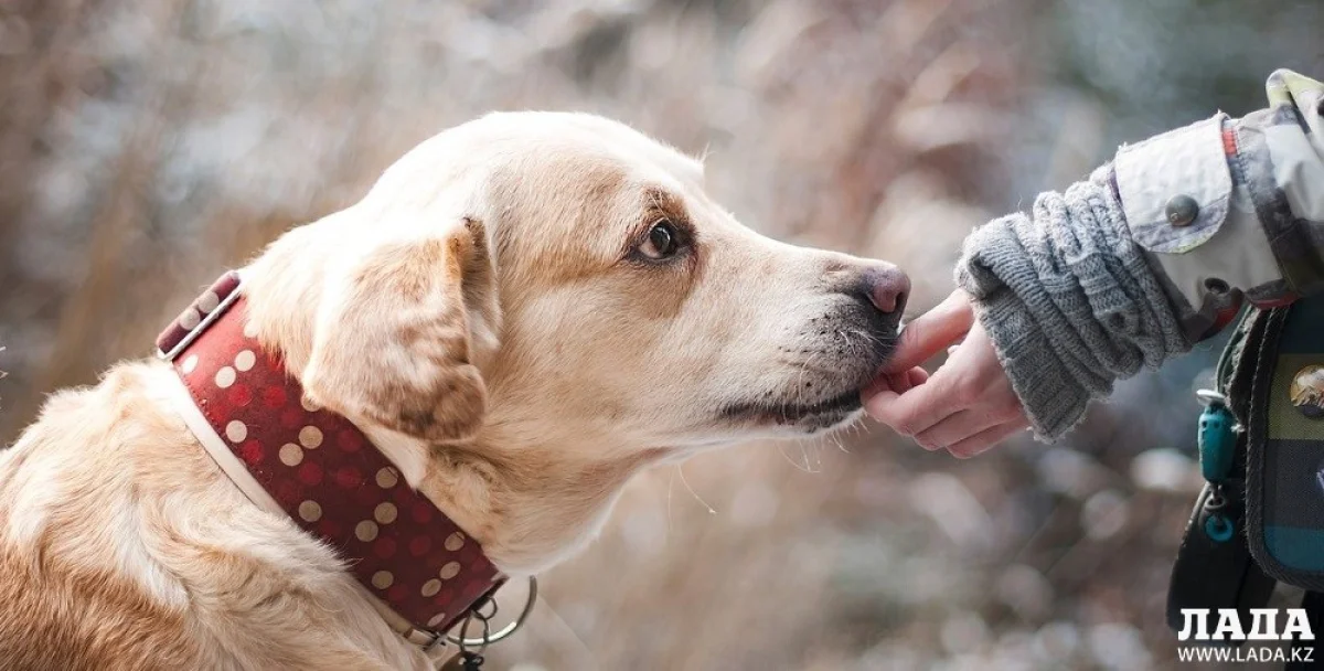 Иллюстративное фото из открытых источников