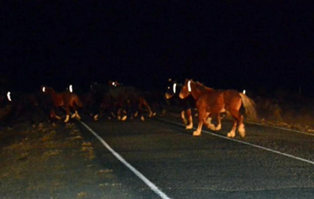 Фото из доступных источников