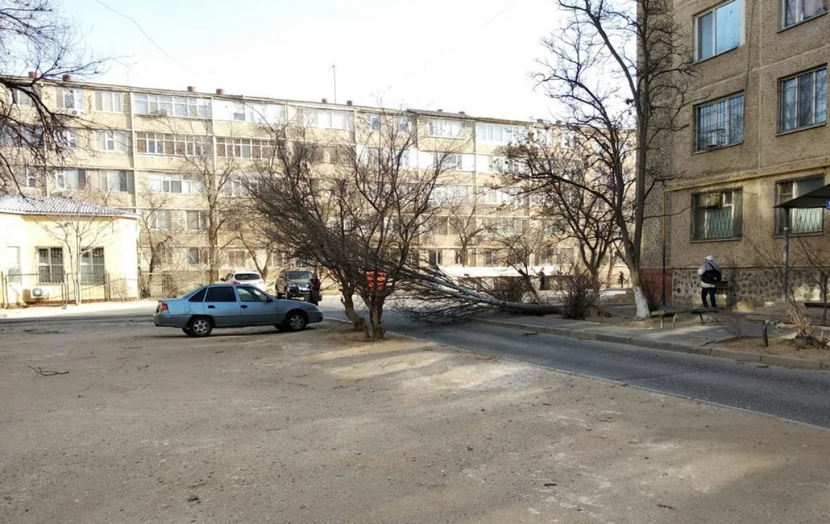 Фото жителей дома №12 в 11 микрорайоне