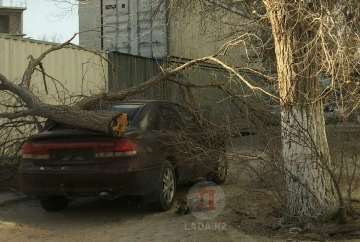 Фото пользователя Lada.kz