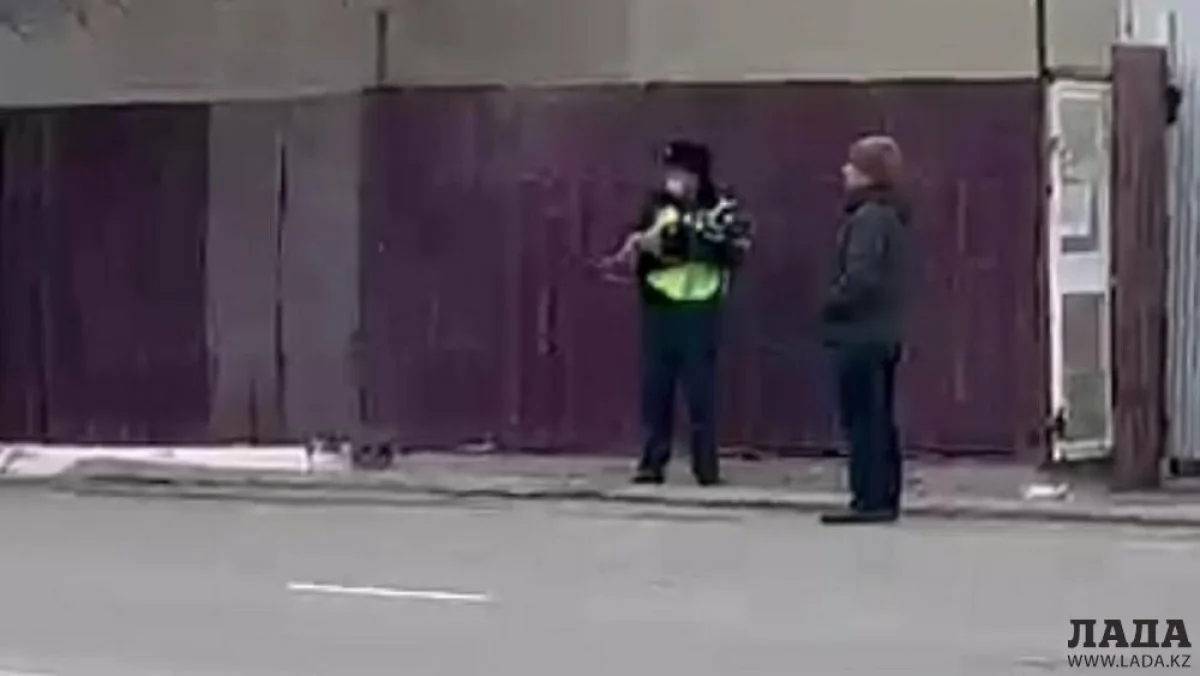 Скрин видео