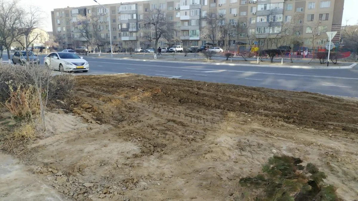 На этом месте были деревья