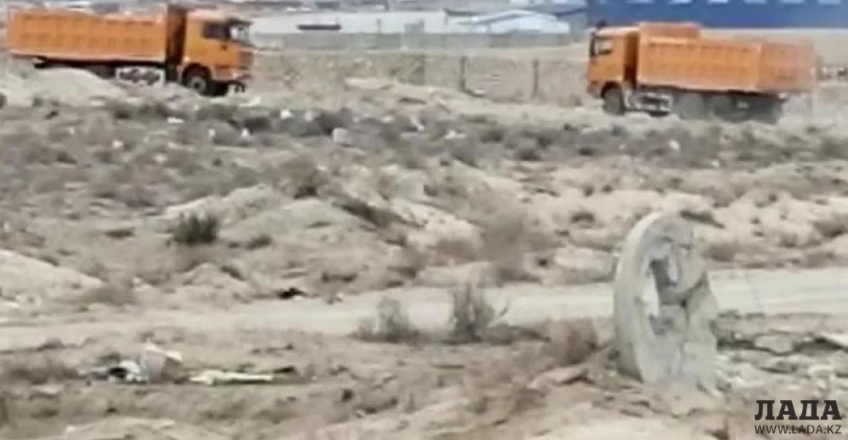 Скрин видео