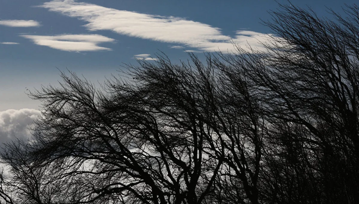 Фото из доступных источников