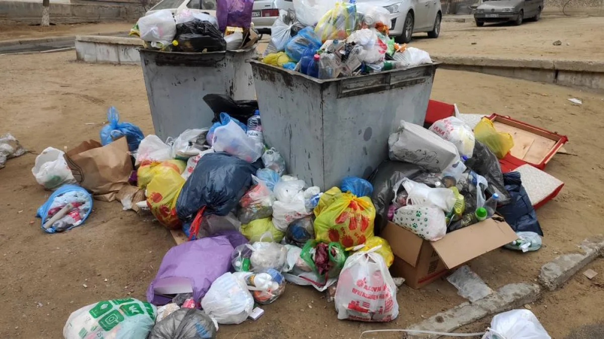 Мусорные контейнеры в 14 микрорайоне. Фото lada.kz