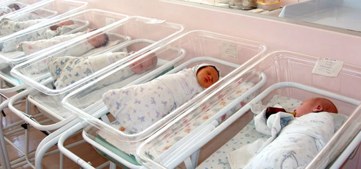 фото из открытых источников