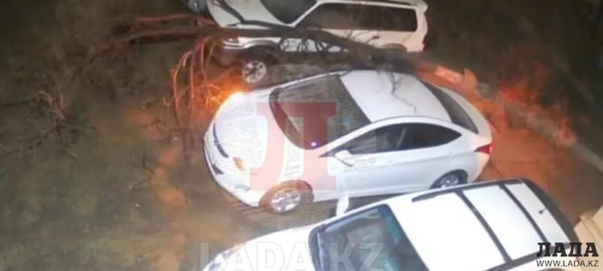 Скрин видео