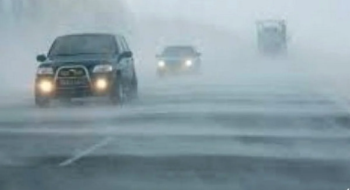 Фото из доступных источников