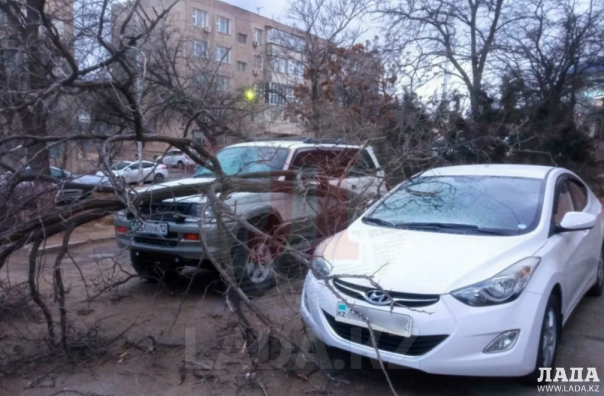 Фото пользователя Lada.kz