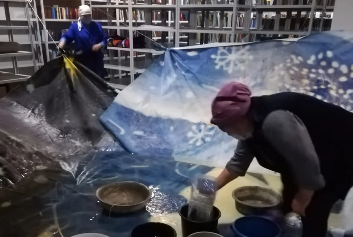 Кадр видео||news_pic_more|<!--TBegin--><a href="https://www.lada.kz/uploads/posts/2022-01/1642414529_73b74568-02c2-49a3-90fb-fd792f712fab.jpg" onclick="return hs.expand(this)" ><img align="left" src="https://www.lada.kz/uploads/posts/2022-01/thumbs/1642414529_73b74568-02c2-49a3-90fb-fd792f712fab.jpg" alt='В Актау городскую библиотеку затопило после осадков' title='В Актау городскую библиотеку затопило после осадков'  /></a><!--TEnd--><br /><!--TBegin--><a href="https://www.lada.kz/uploads/posts/2022-01/1642414536_919cb6b8-83aa-4379-9403-a2e30cfbe16d.jpg" onclick="return hs.expand(this)" ><img align="left" src="https://www.lada.kz/uploads/posts/2022-01/thumbs/1642414536_919cb6b8-83aa-4379-9403-a2e30cfbe16d.jpg" alt='В Актау городскую библиотеку затопило после осадков' title='В Актау городскую библиотеку затопило после осадков'  /></a><!--TEnd-->