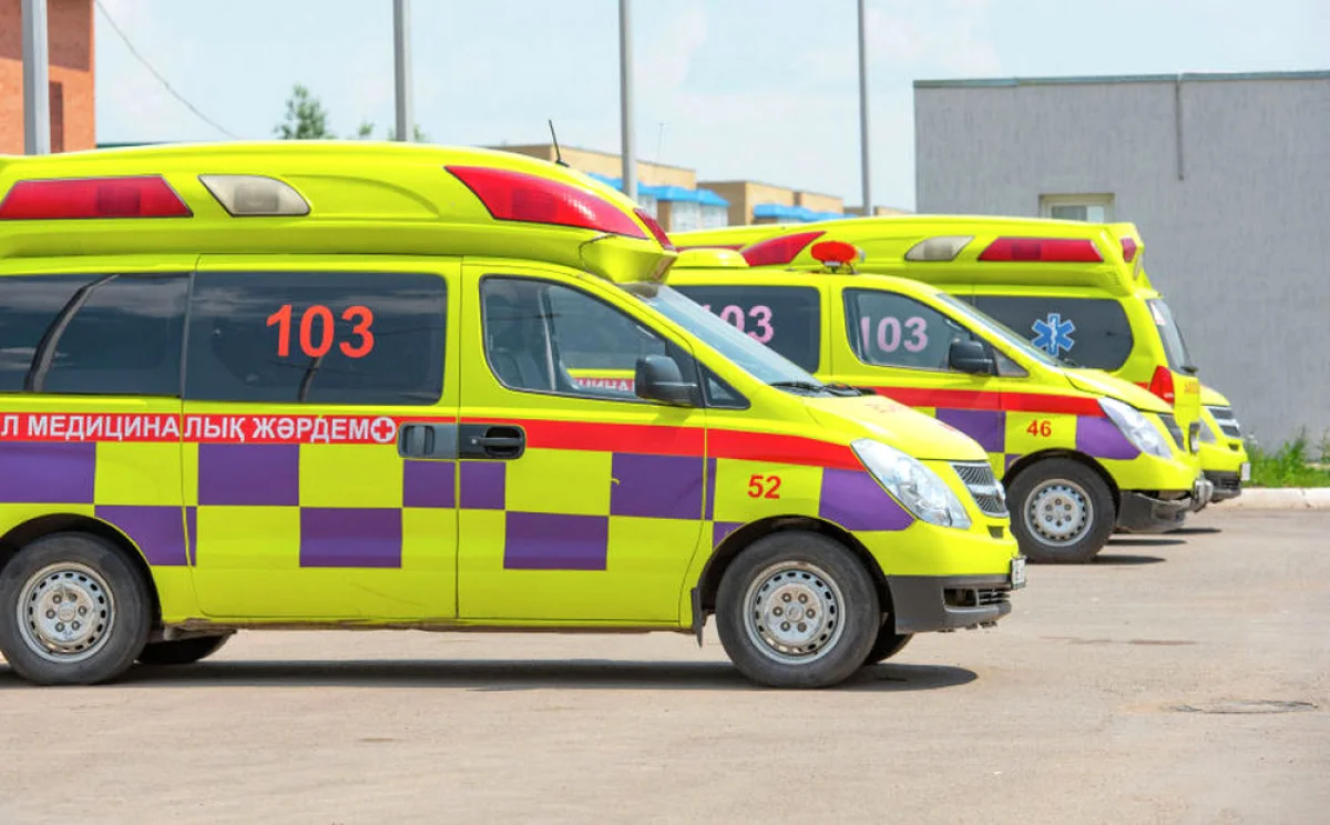 Фото из доступных источников