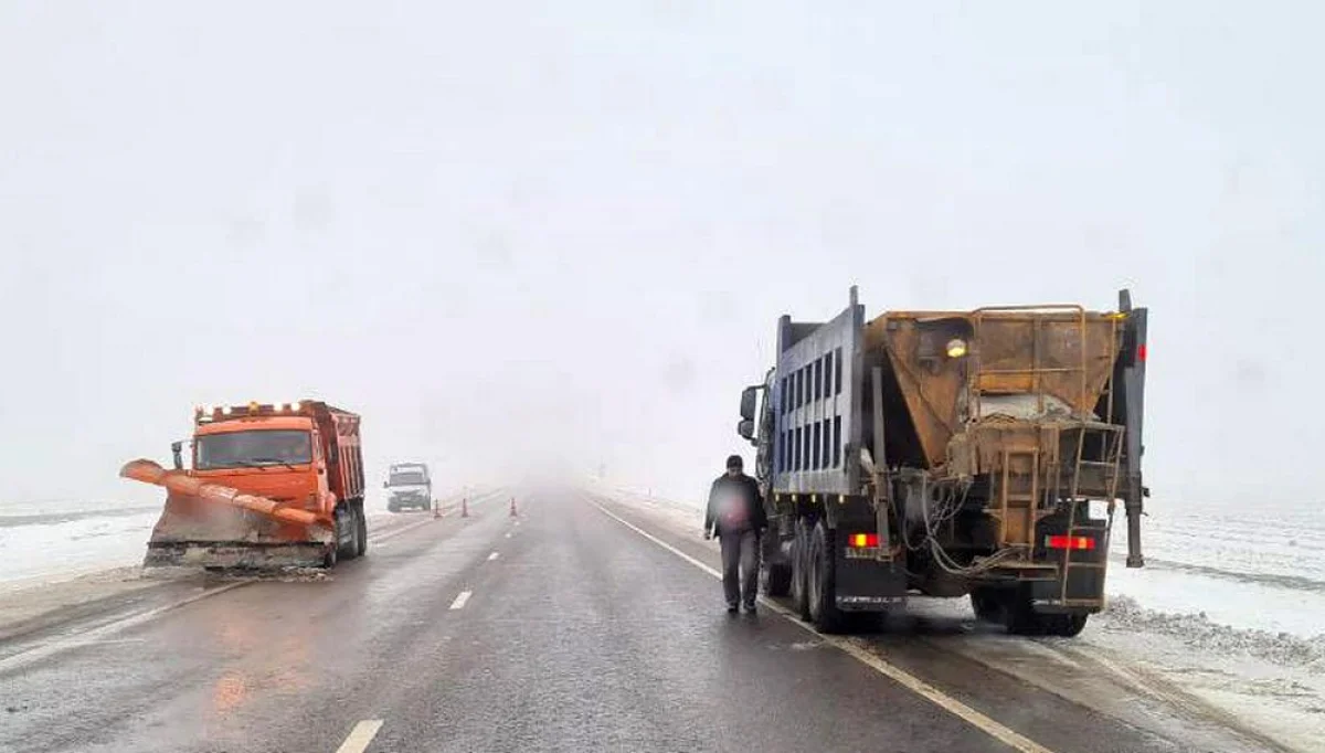 Фото пользователя Lada.kz