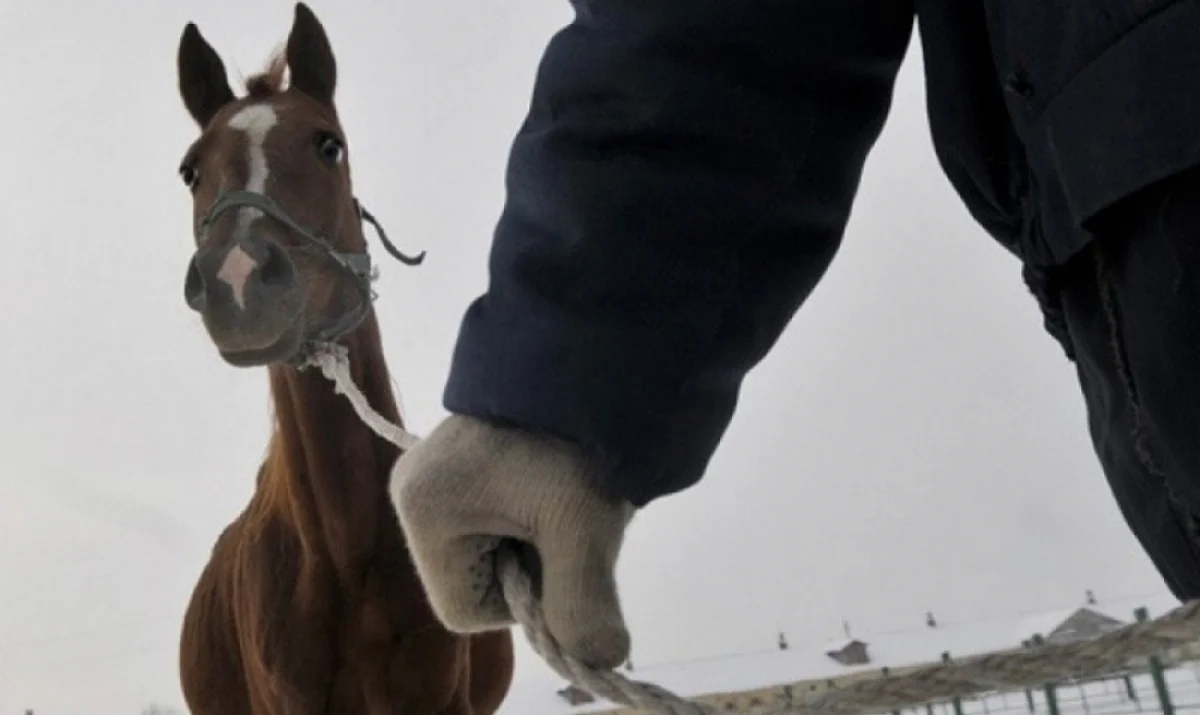 Фото из доступных источников