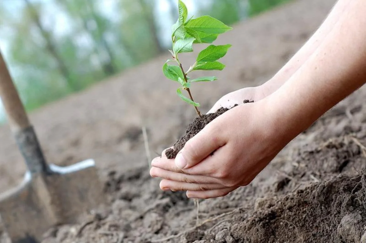 Иллюстративное фото из открытых источников