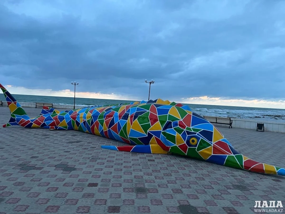 Фото предоставили в Актауском городском акимате