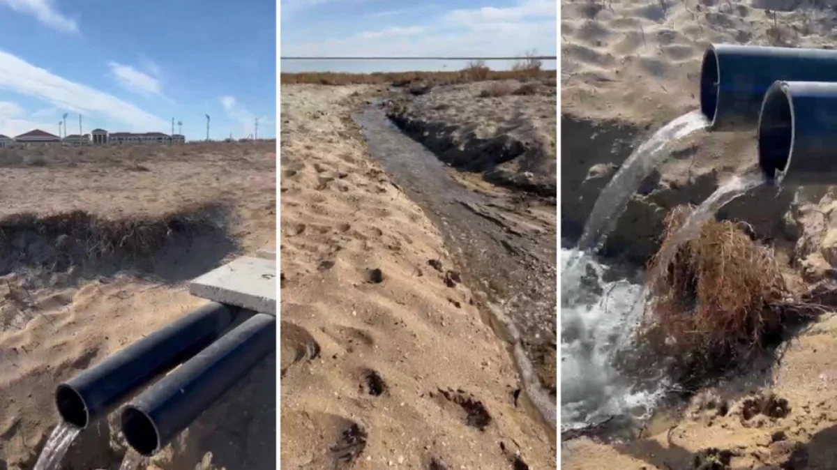 Кадры видео