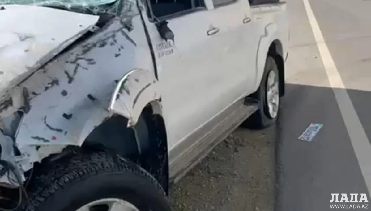 Скрин видео