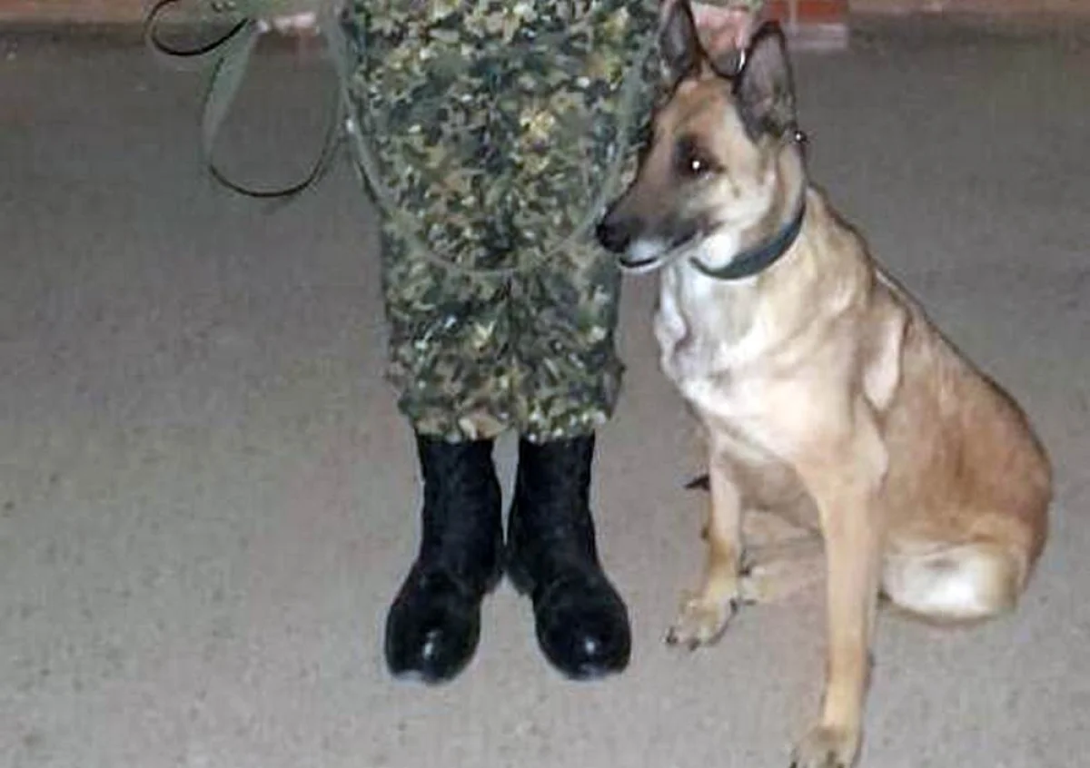 Фото предоставил руководитель пресс-службы РгК «Батыс» Нацгвардии РК, подполковник Ерболат Султанов