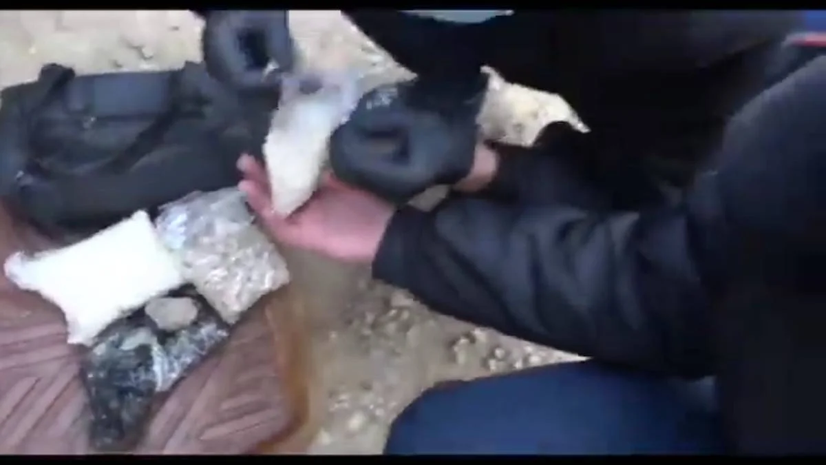 фото из открытых источников