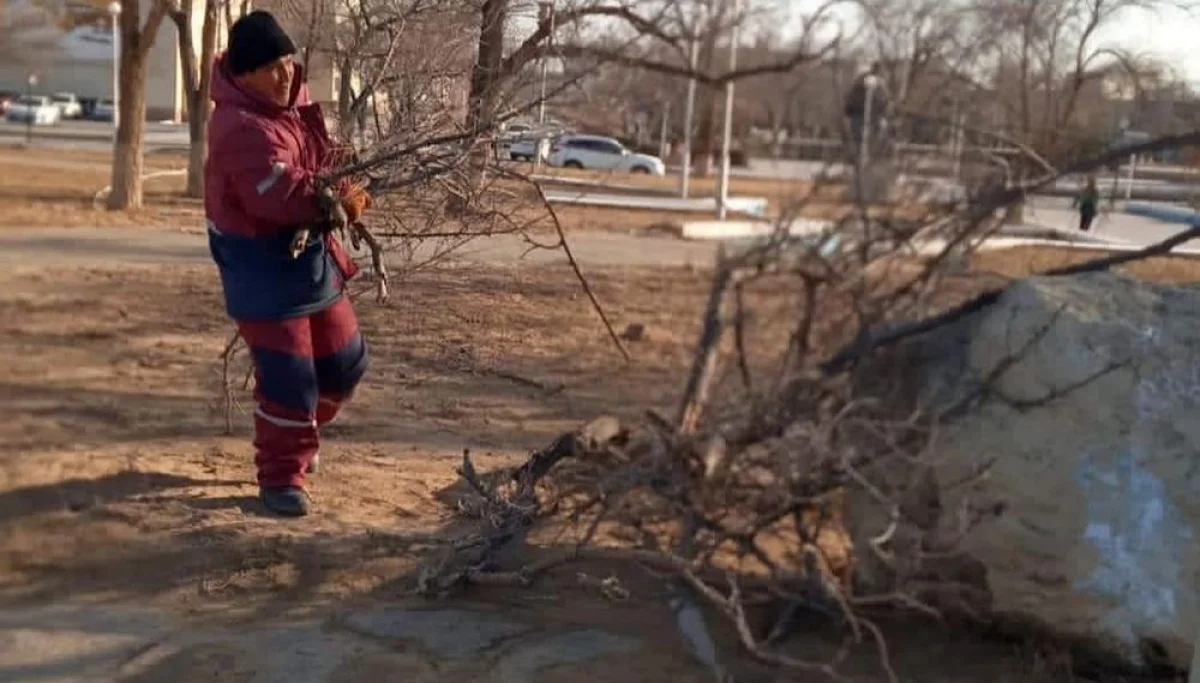 Фото предоставили в городском акимате