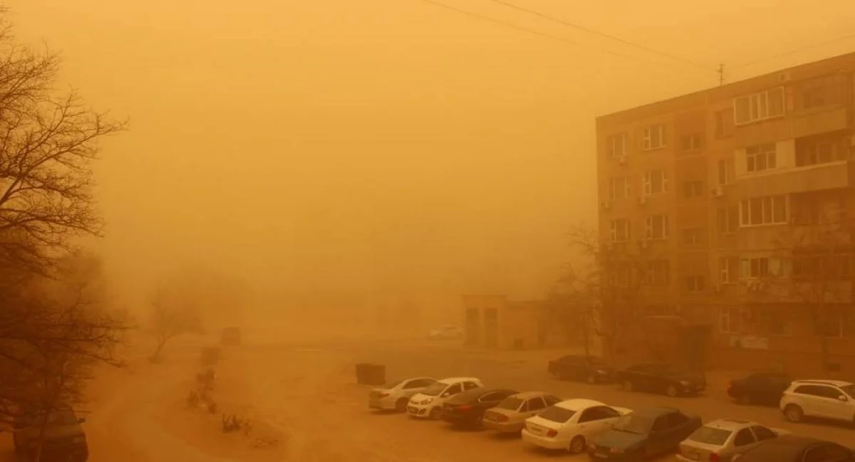 Фото из доступных источников