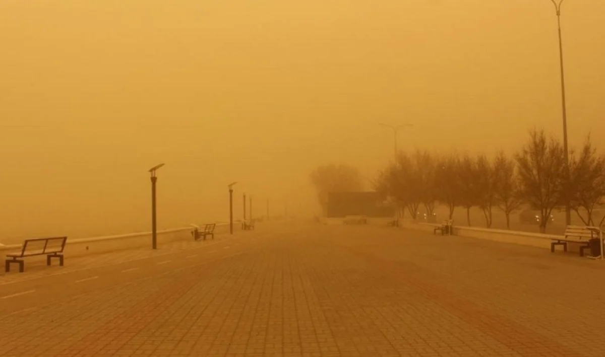 Фото из архива Lada.kz