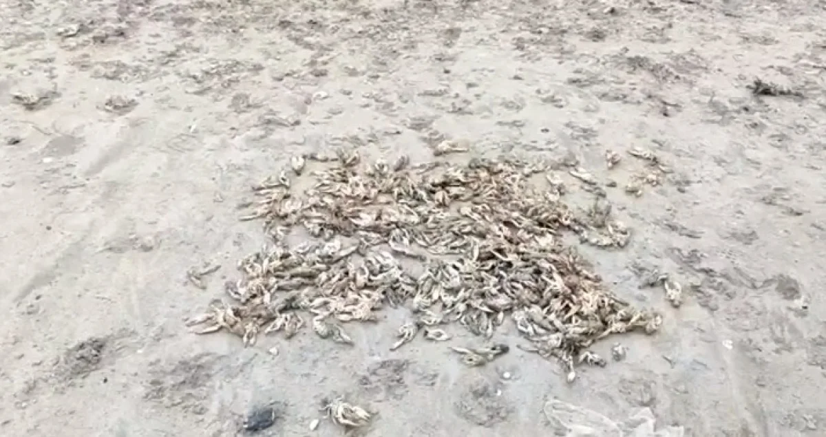 Фото пресс-службы ведомства