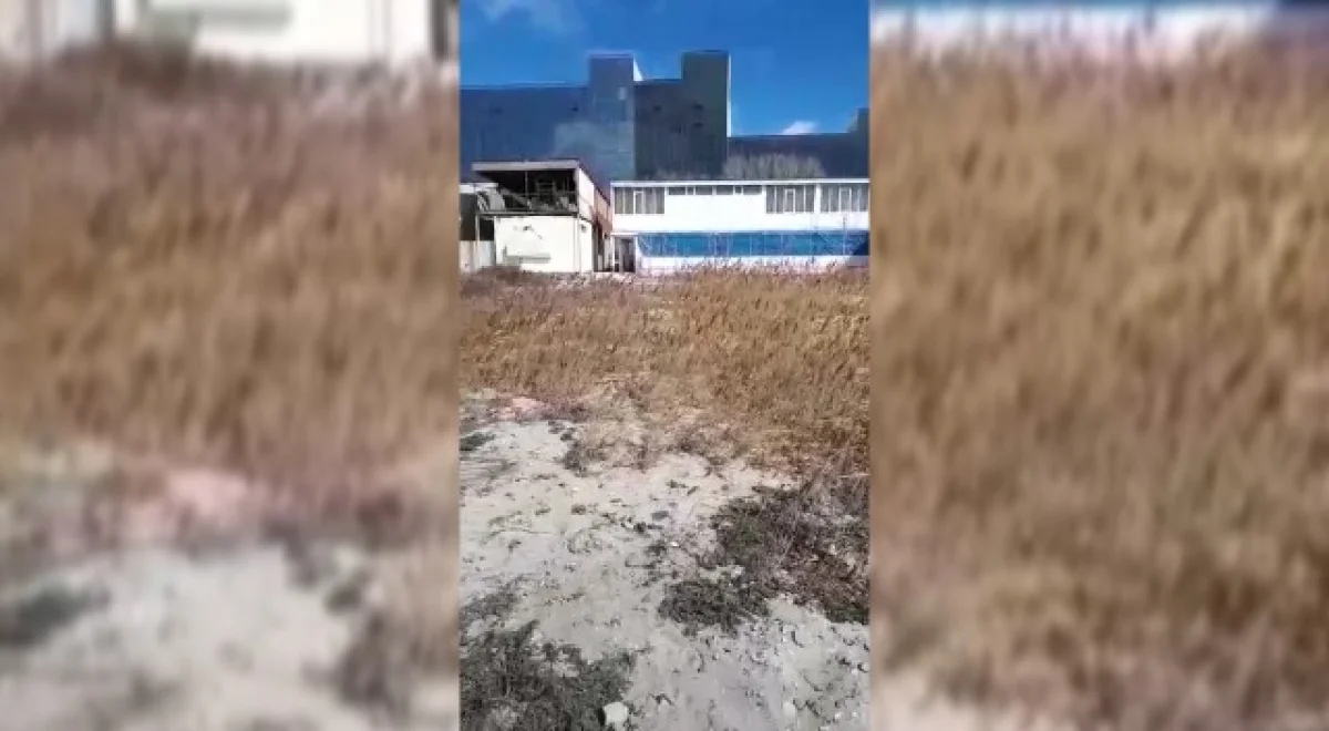 Скрин видео