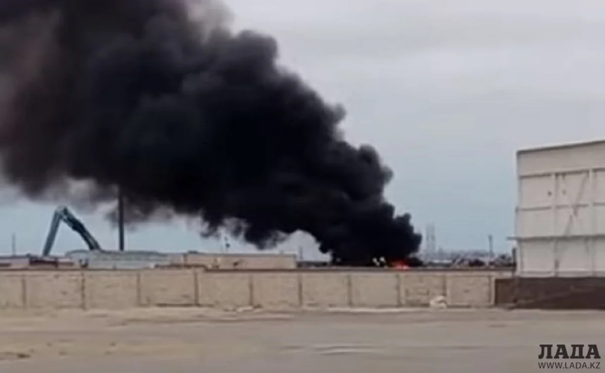 Скрин видео