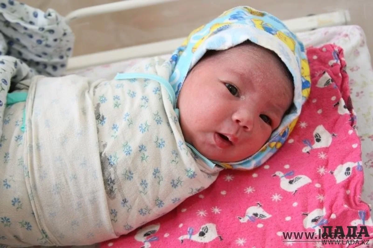 Новый житель Мангистау