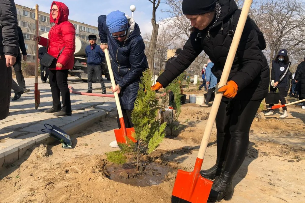 Фото предоставили в городском акимате
