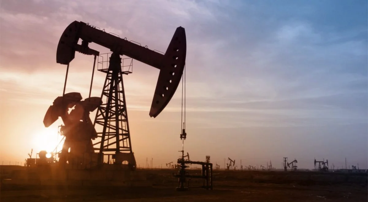 Фото из доступных источников