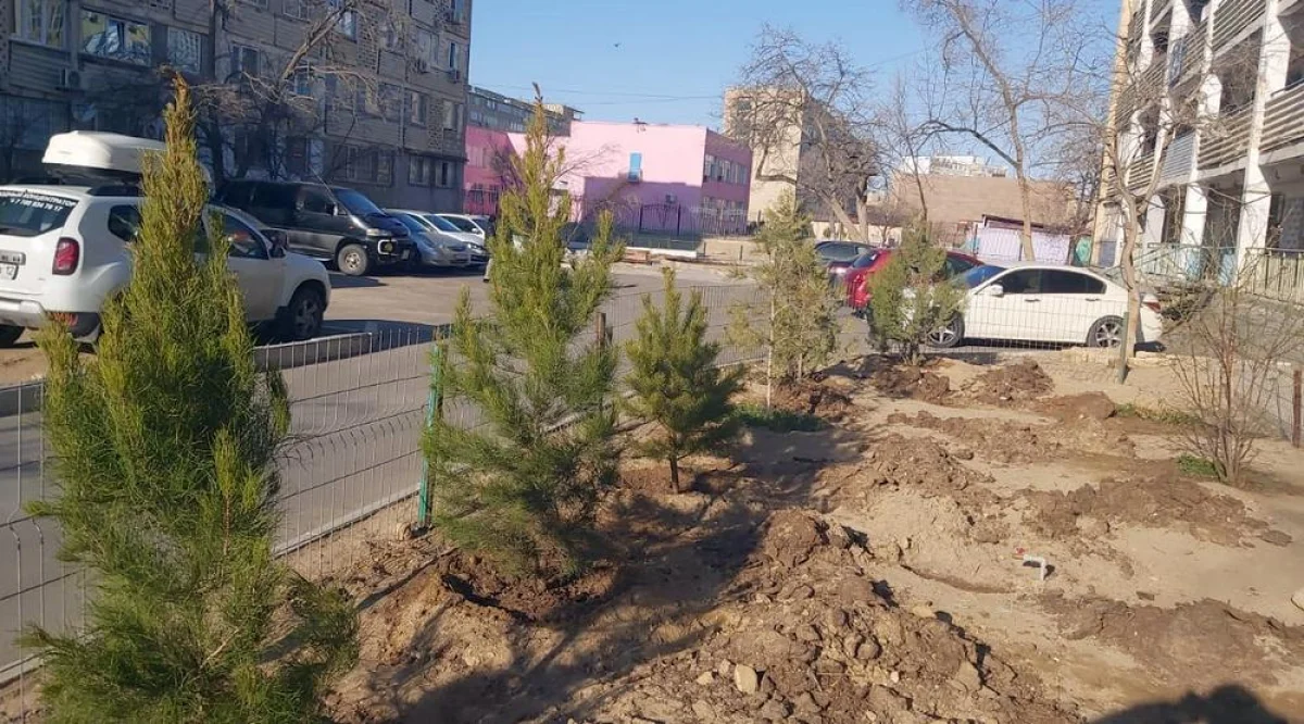 Фото жильцов дома №41 в 5 микрорайоне