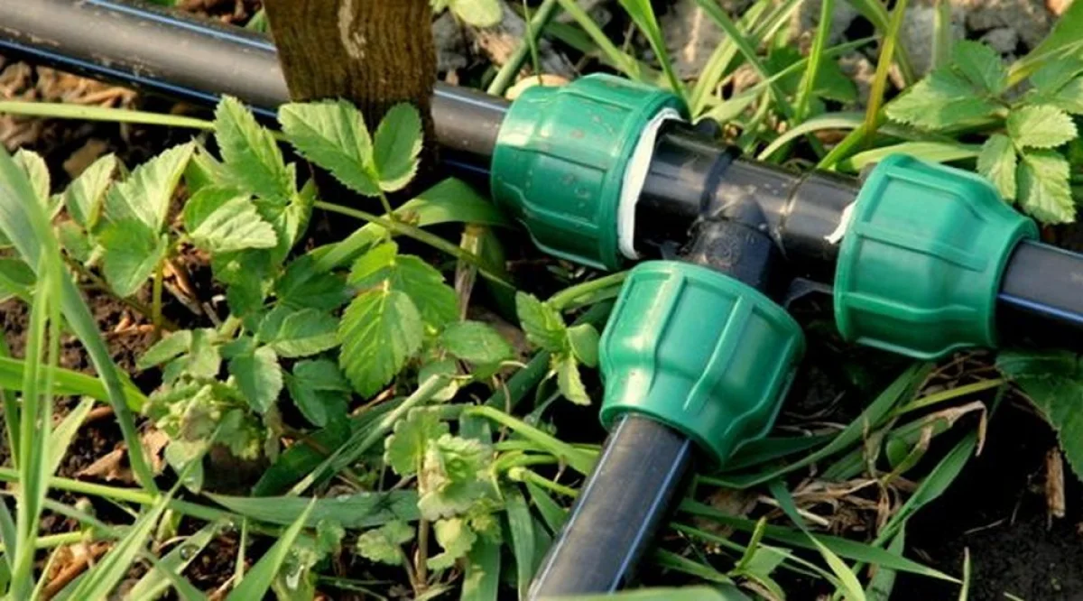 Фото из доступных источников