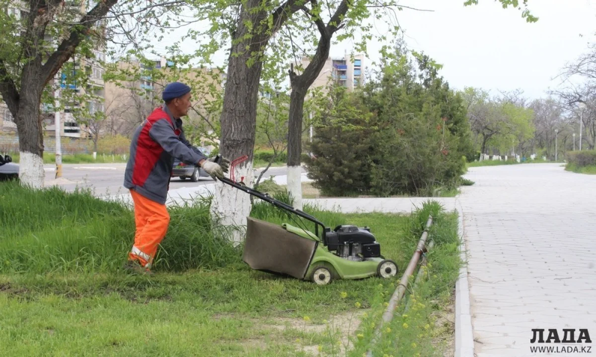 Фото из архива Lada.kz