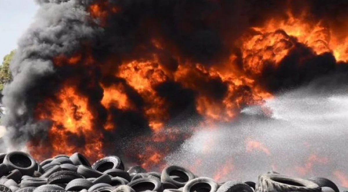 фото из открытых источников