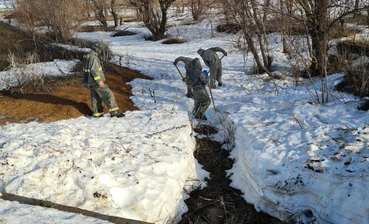 Фото предоставили в ДЧС региона