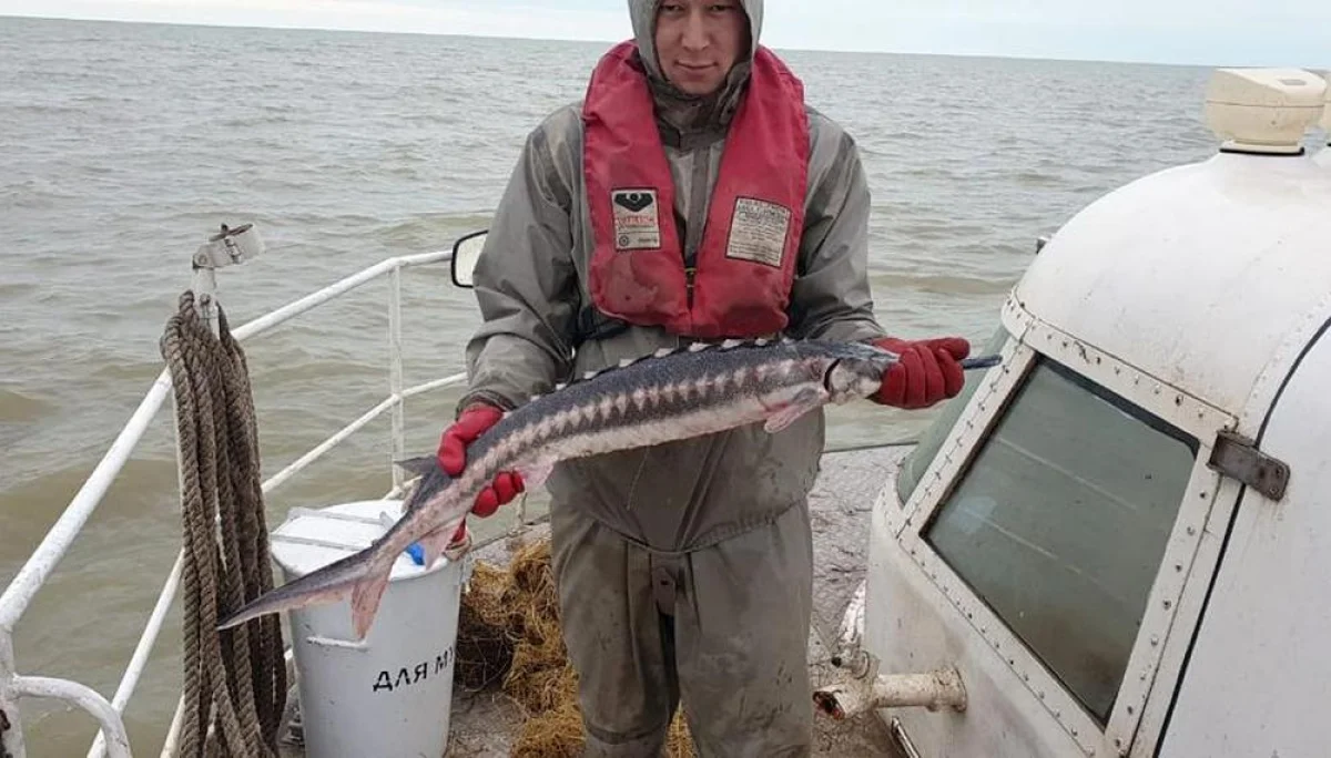 Результаты первого этапа совместного ОПМ. Фото предоставил пресс-секретарь КНБ РК по Мангистауской области, майор Ерсин Кайбуллин