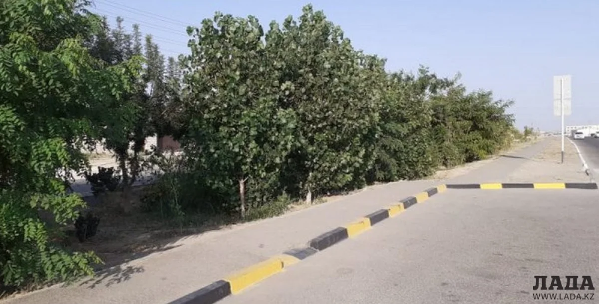 Фото из архива lada.kz