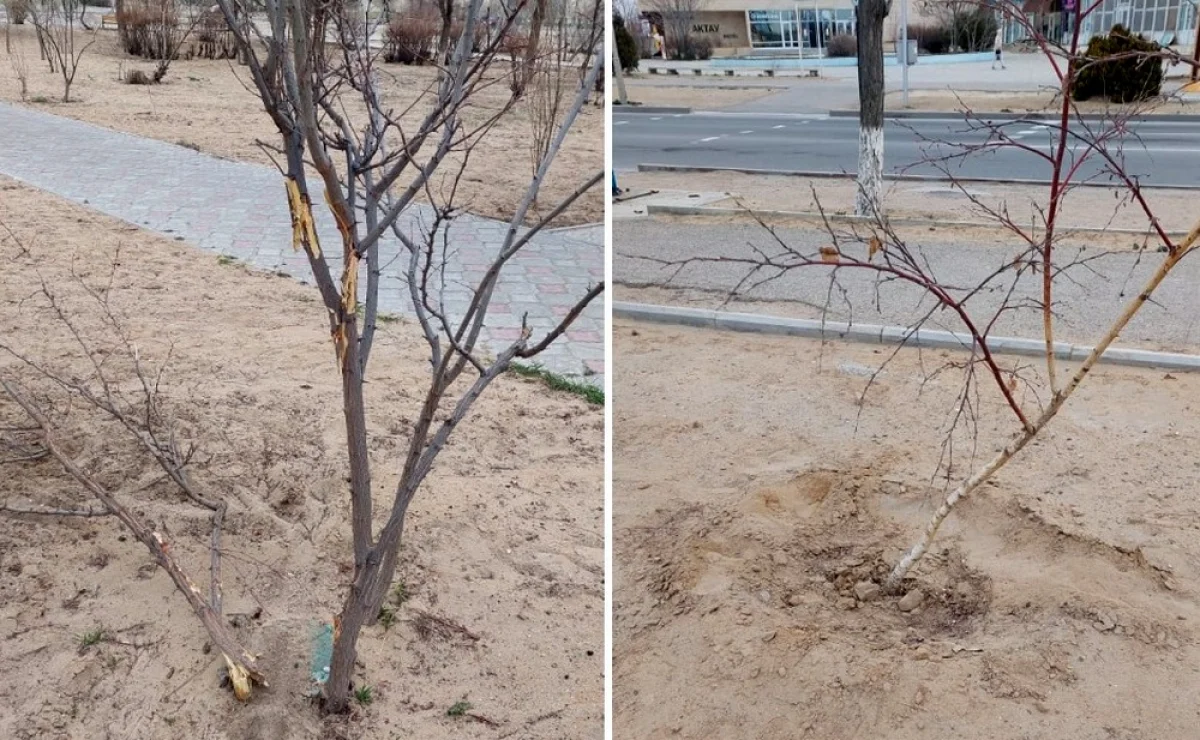 Фото предоставила Виктория