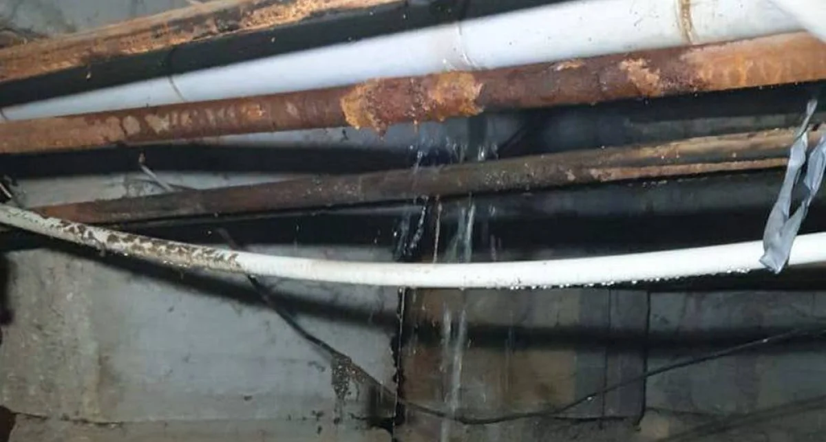 Фото жителей 3-57