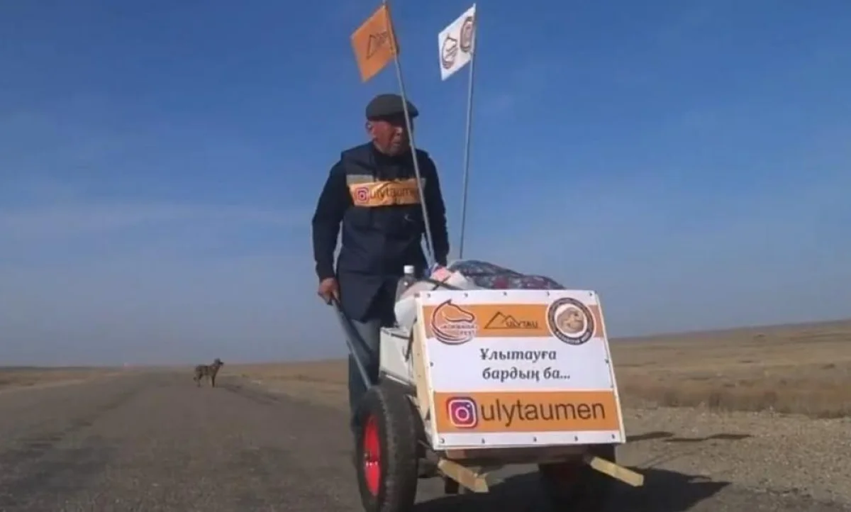 Скрин видео