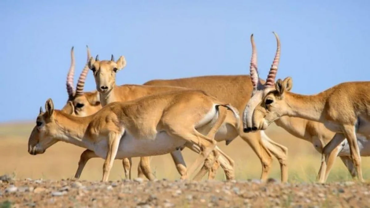 Фото из Сети интернет