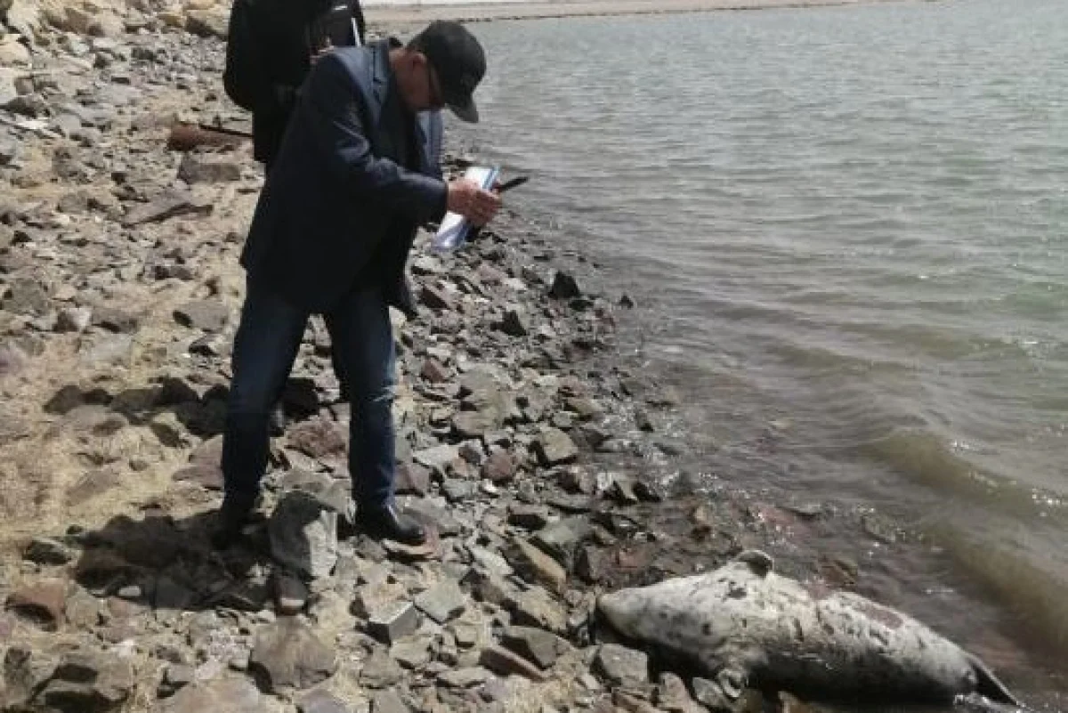 Фото пресс-службы ведомства