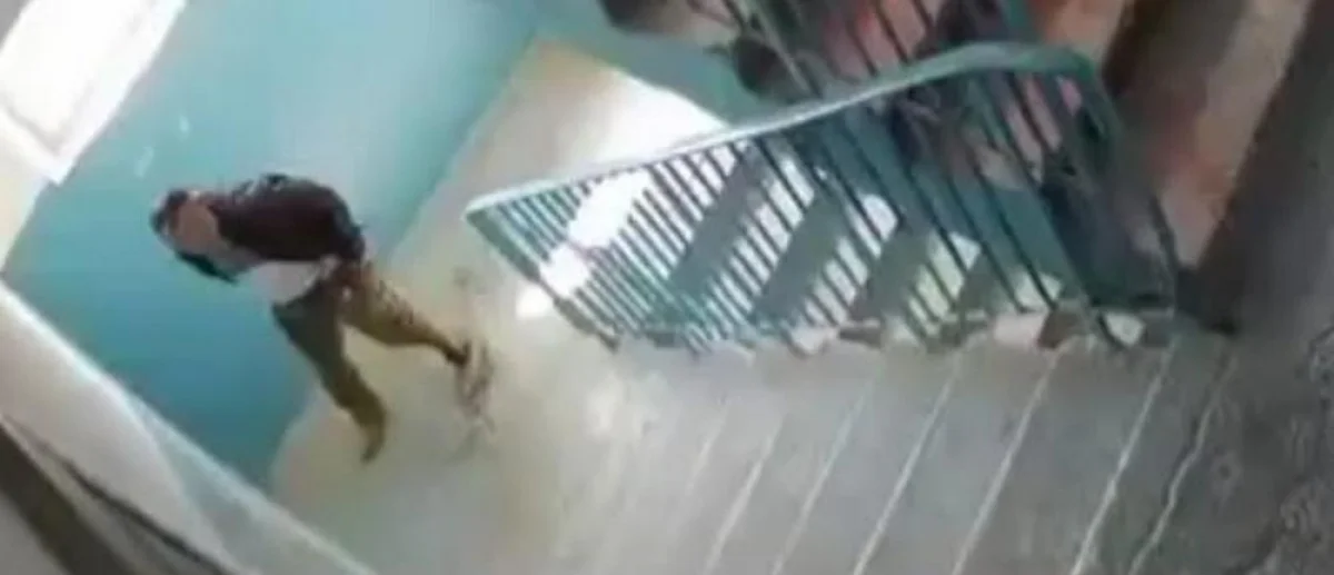 Скрин видео